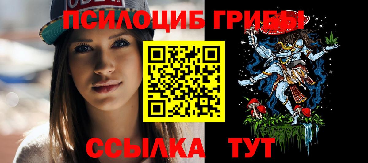 Галлюциногенные грибы Psilocybine cubensis Краснокаменск