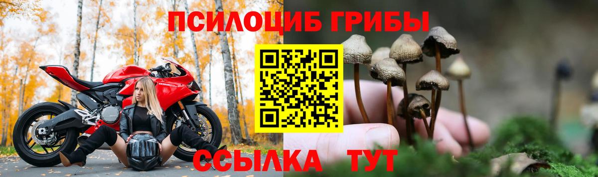 Галлюциногенные грибы ЛСД  Галлюциногенные грибы Cubensis  Краснокаменск 