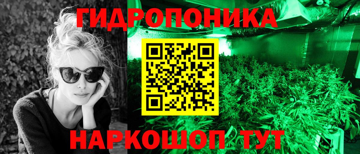 Канабис Amnesia Краснокаменск